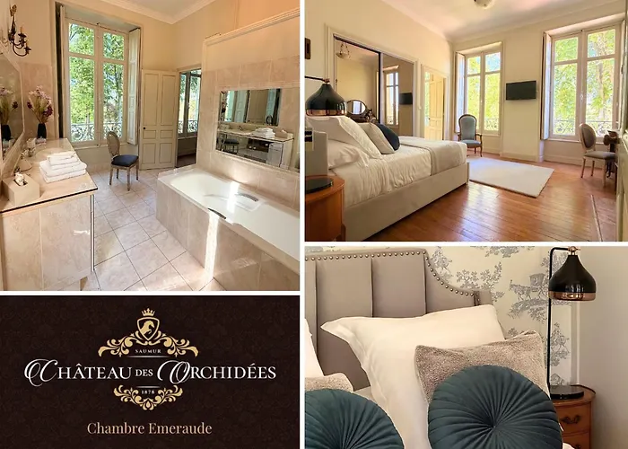 Chateau Des Orchidees Stay In A French Castle Saumur