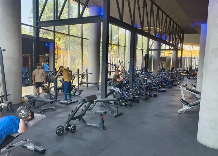 Hs Hotsson Cdmx Condesa Sur Hotel Mexico City