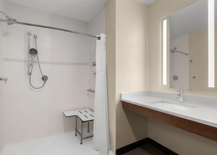Holiday Inn & Suites Detroit - Troy By Ihg