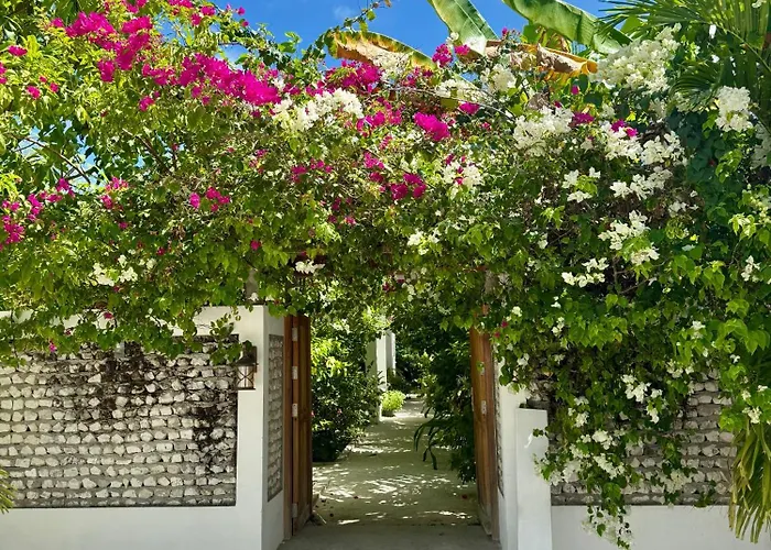 Seaside Dhigurah Hotel Dhigurah 