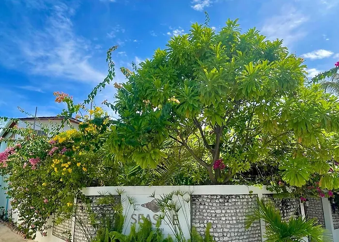 Seaside Dhigurah Hotel Dhigurah 