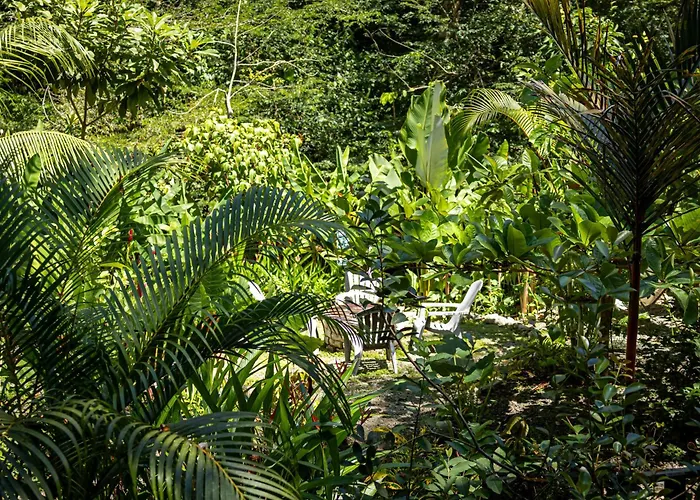 Riverside Villas Manuel Antonio