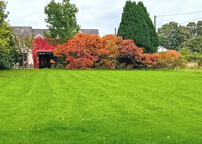 The Wandering Donkey Guest House Carlow