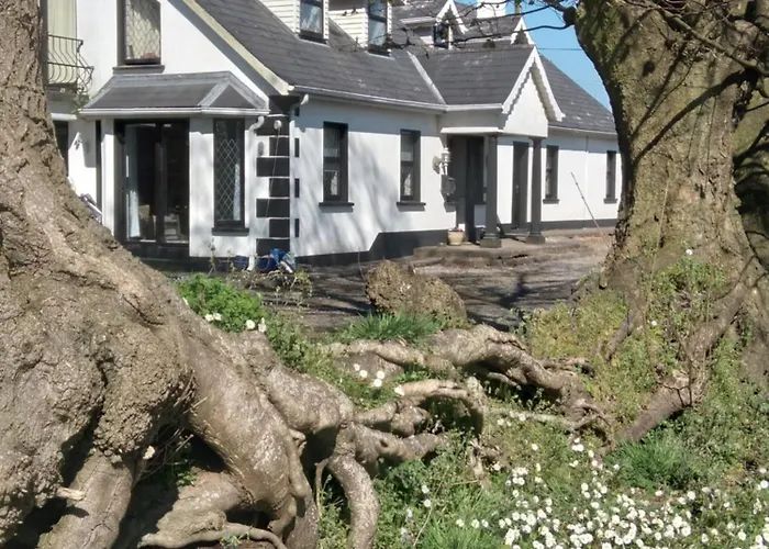 The Wandering Donkey Guest House Carlow