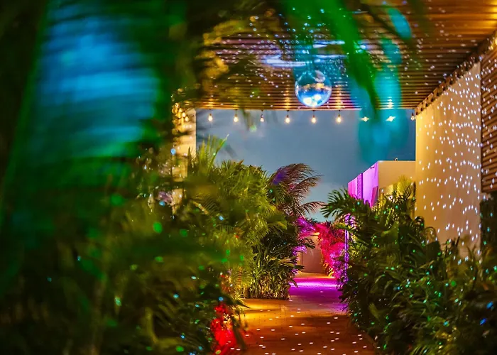 Privada Stays - Lofts With Private Pool And Oasis, Near Eagle Beach Palm Beach