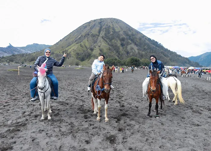 Artotel Cabin Bromo