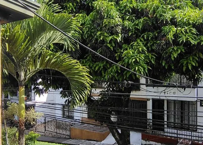 Hostel La Iguana Café Pereira