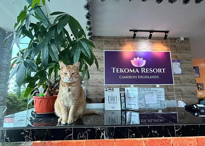 Tekoma Hotel & Hostel Cameron Highlands - Free Shuttle Service Tanah Rata
