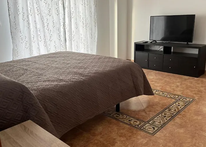 Despertar Con El Sonido De Los Pájaros Melide