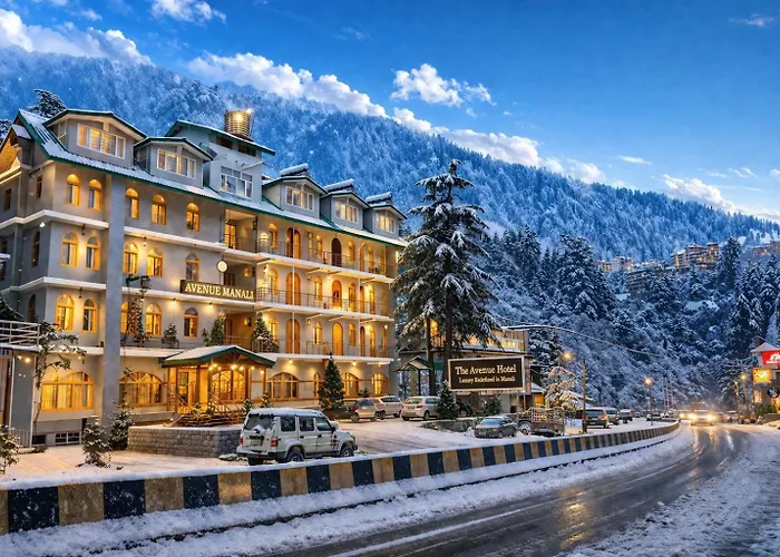 The Avenue River Side Hotel - Near Volvo Bus Stand Manali