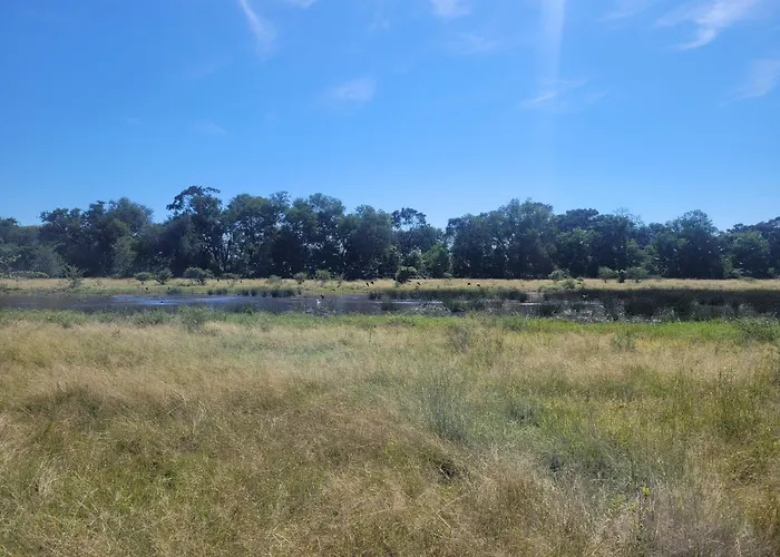 Rustic Gate Lodge And Campsite Maun
