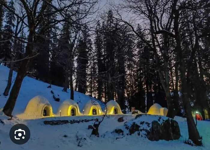 Mha Hotel Ever Green Manali