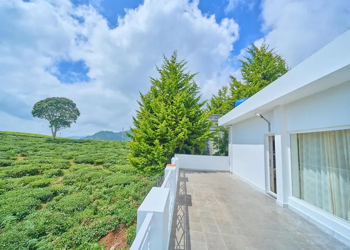 Cucuu Nest Villa Coonoor By Voye Homes - Surrounded By Tea Plantations