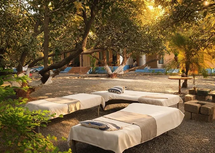 Gir County Resort Sasan Gir