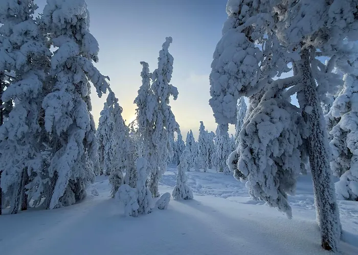 Arctic Panorama Resort Rovaniemi