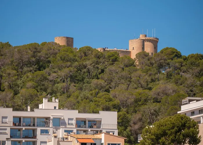 Terreno Barrio Hotel Palma de Mallorca