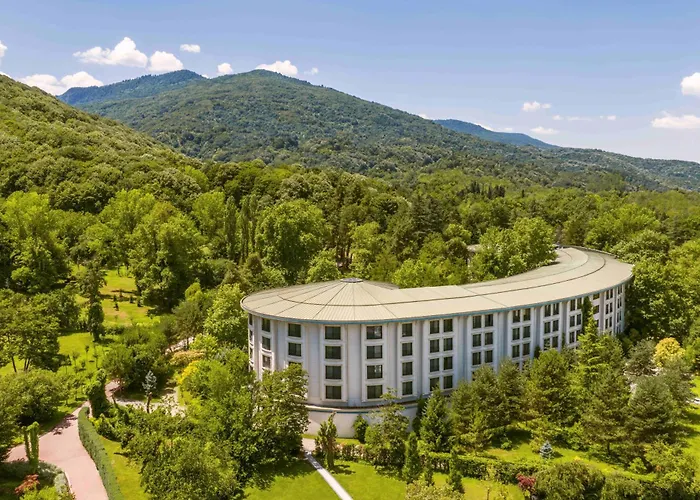 Ng Sapanca Wellness & Convention Hotel