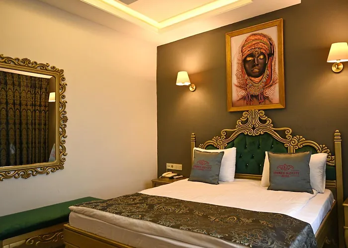 Ethnica Hotel Old City Istanboel