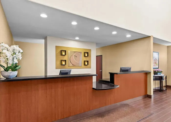 Comfort Suites San Antonio North - Stone Oak