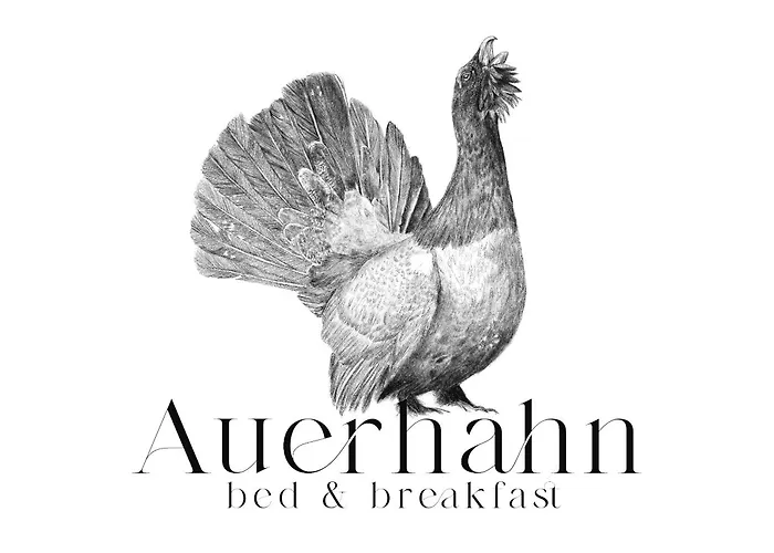 Waldhotel Auerhahn Eisenbach 