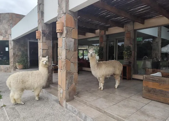 Hotel Limari Ovalle