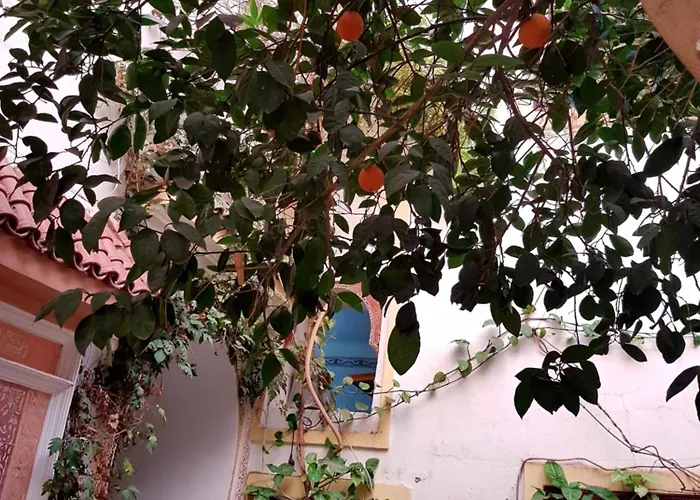 Riad Dalia Marrakesh