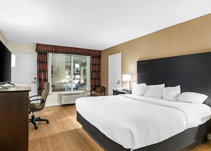 Quality Inn & Suites Grayling