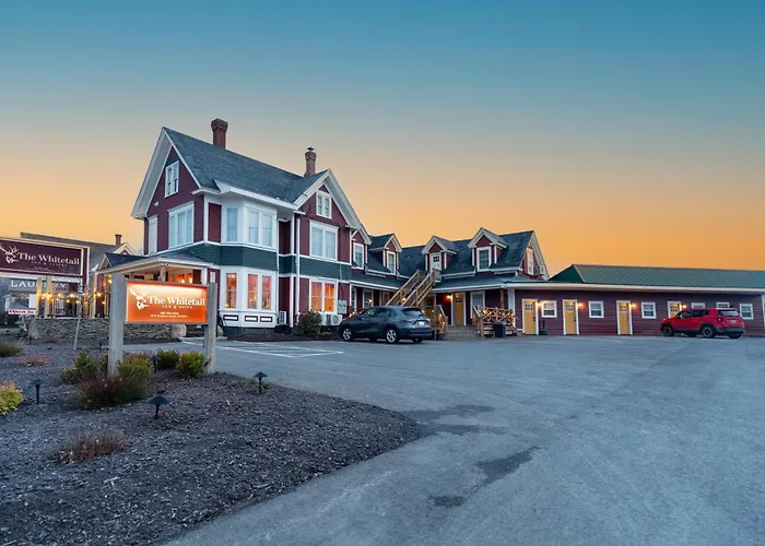 The Whitetail Inn And Suites- Lincoln