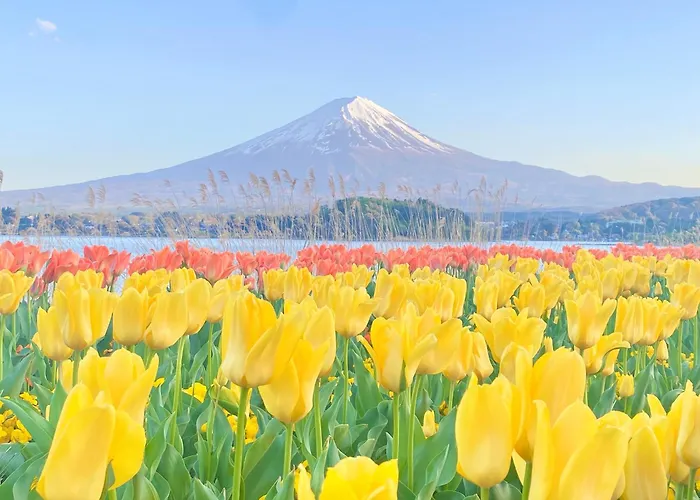 Haostay Art Museum Fujikawaguchiko