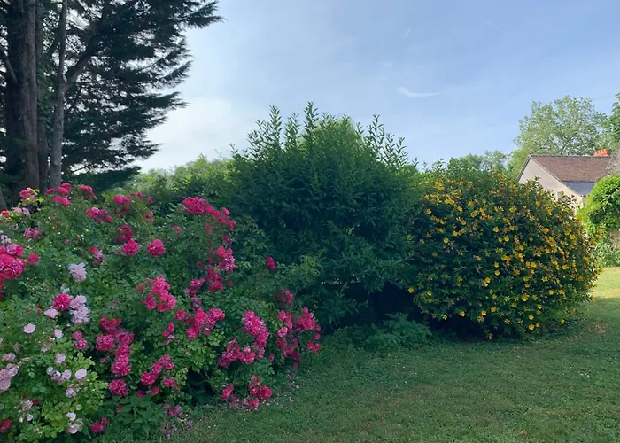 Chambre d'Hôtes Le Moulin des Landes Vernou-sur-Brenne
