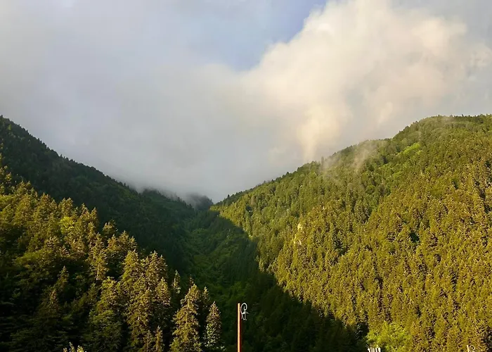 Akpinar Hotel Uzungöl