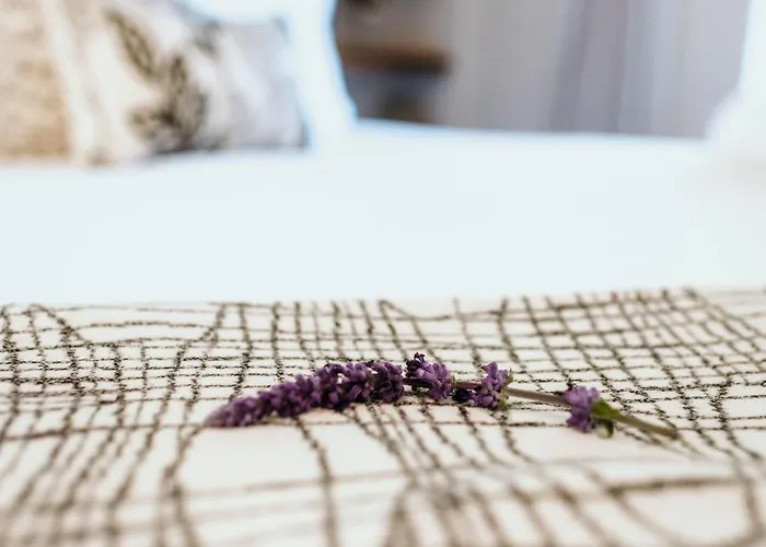 Macaron Boutique Guest House Franschhoek