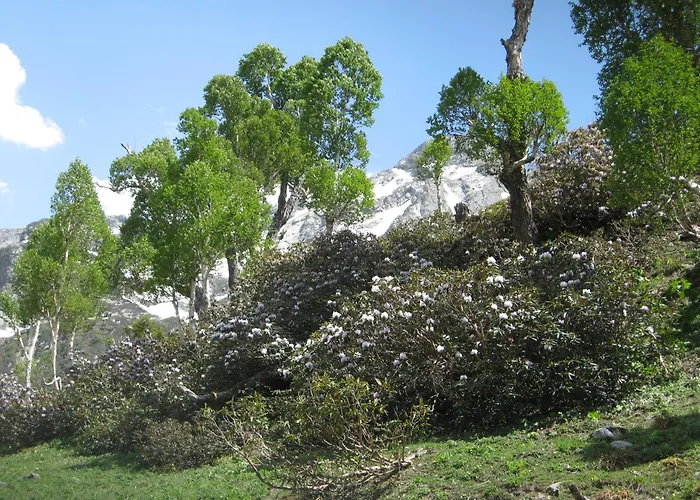 Snow Leopard Lodge Srinagar 
