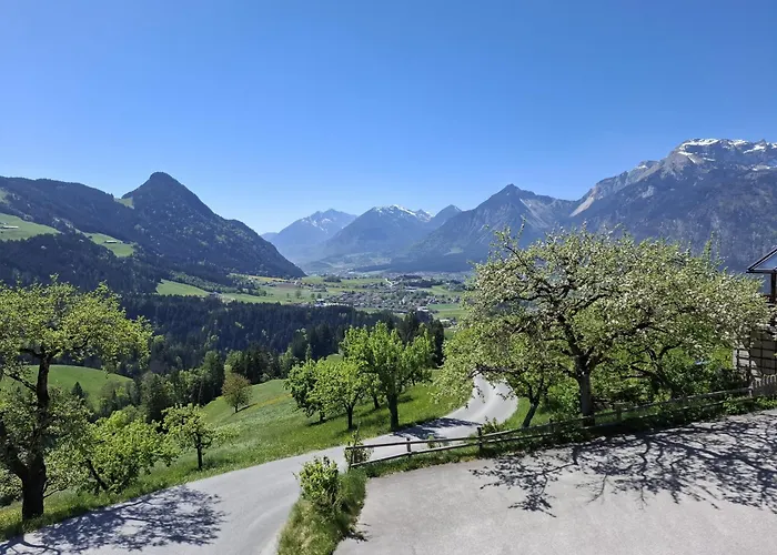 Hotel&Alpengasthof Pinzgerhof Reith im Alpbachtal