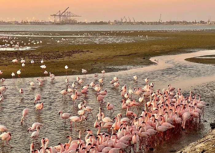 Flamingo Villas Boutique Hotel Walvis Bay