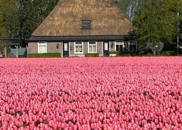 B&B Idylle aan Zee incl 2 Wellnessstudios Sint Maartensvlotbrug