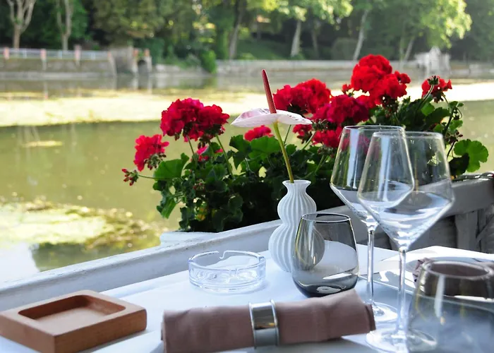 Hotel Restaurant Pavillon Bleu Olivet 