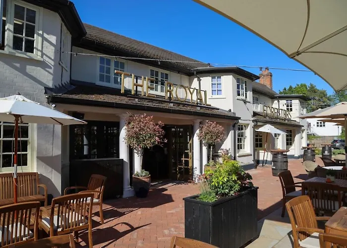 The Royal Foresters Ascot 