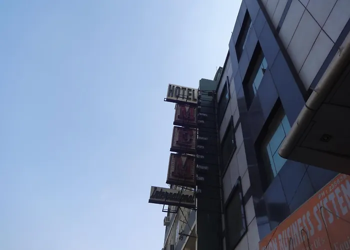 Mem International Hotel New Delhi