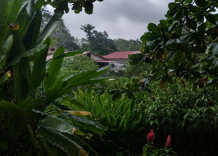 Los Susurros. Casa Palenque