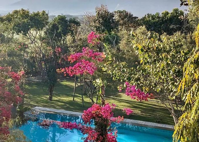 Pushkarorganic - Lux Farm Resort With Pool