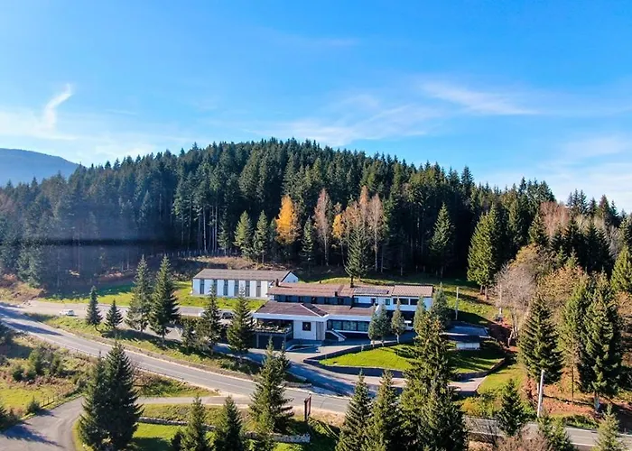 Hotel Forest Pale