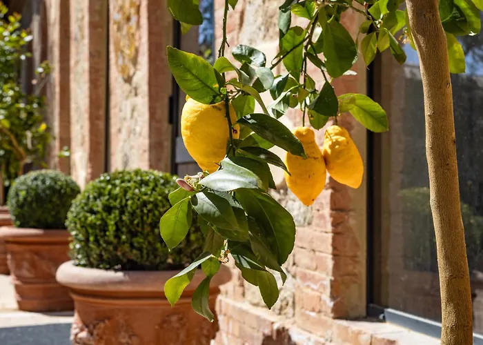 Guild Siena Senior Resort & Residence