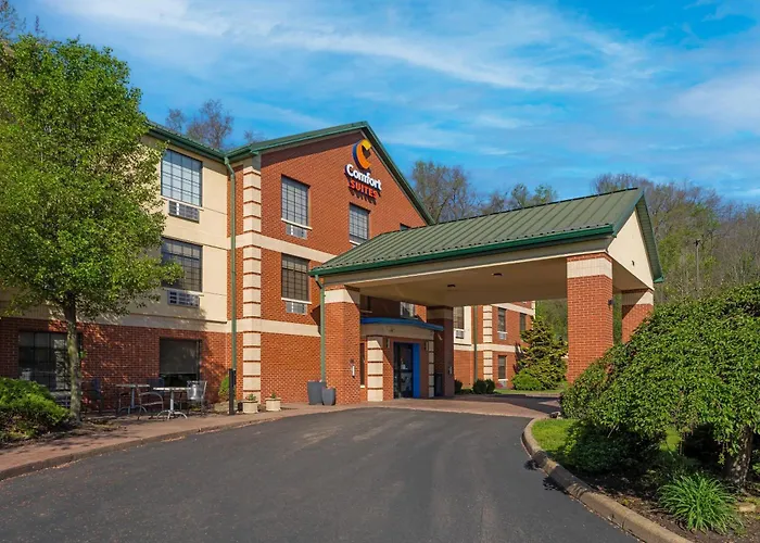 Comfort Suites Pittsburgh Airport Robinson Township 