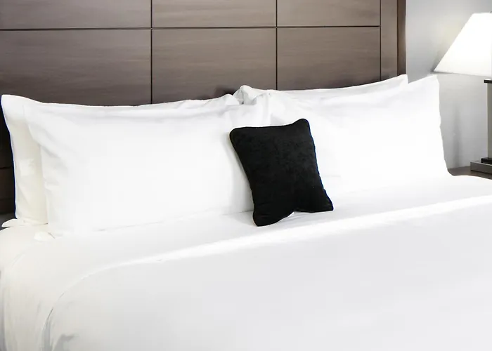 Hotel Ramada By Wyndham Houston Intercontinental Airport South