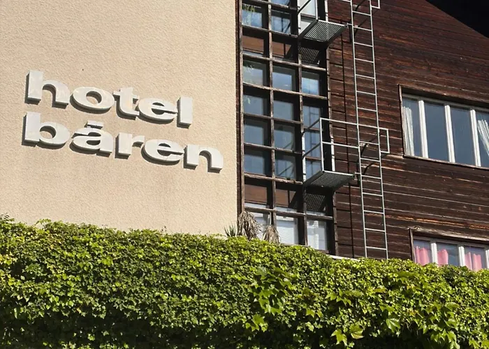 Seehotel Baeren Brienz 
