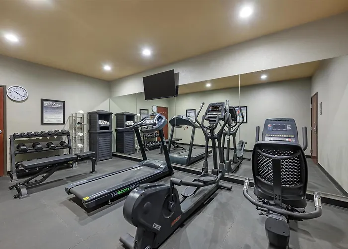 Best Western South Plains Inn & Suites Levelland