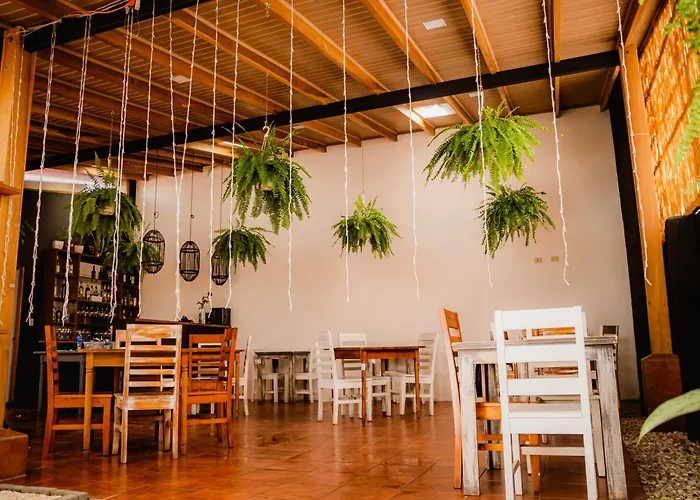 Hotel Luz De Luna San José