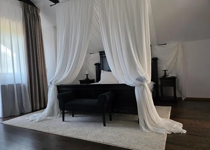 Podu' Cu Lanturi Hotel Bacau