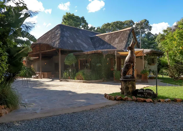 Wild Dogs Lodge Lusaka